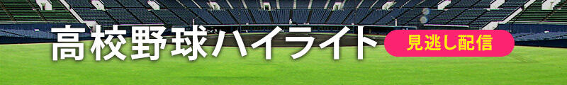 高校野球ハイライト見逃し配信