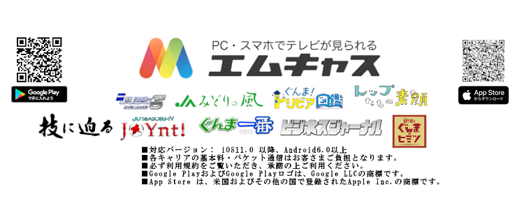 群馬テレビ 群馬テレビ